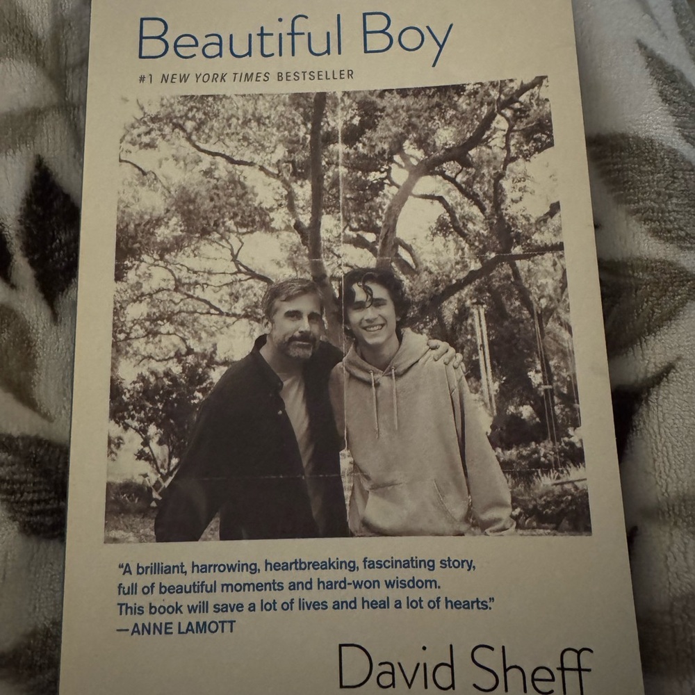 Beautiful Boy Book by David Sheff